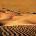 عدسة المصور #سالم_الحجري Salem Al Hajri ..تقدم صوراً عن تصوير الصحراء  في ولاية بدية .في سلطنة عمان.