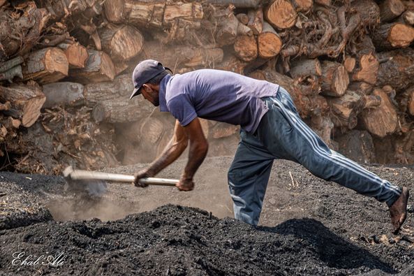 حديث الكامير من مكامير صناعة الفحم النباتي بمصر..- إعداد وتصويرالمهندس : إيهاب علي